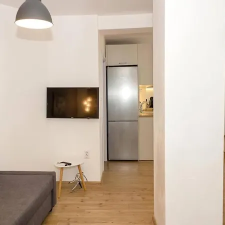 Modern Bright Close To Center And Grand Mall Daire *